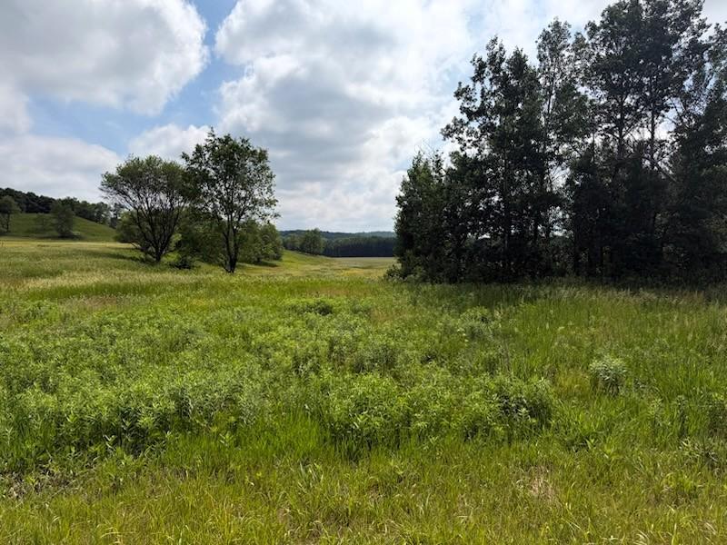 Lot 2 County Rd F, Boyceville, WI 54725