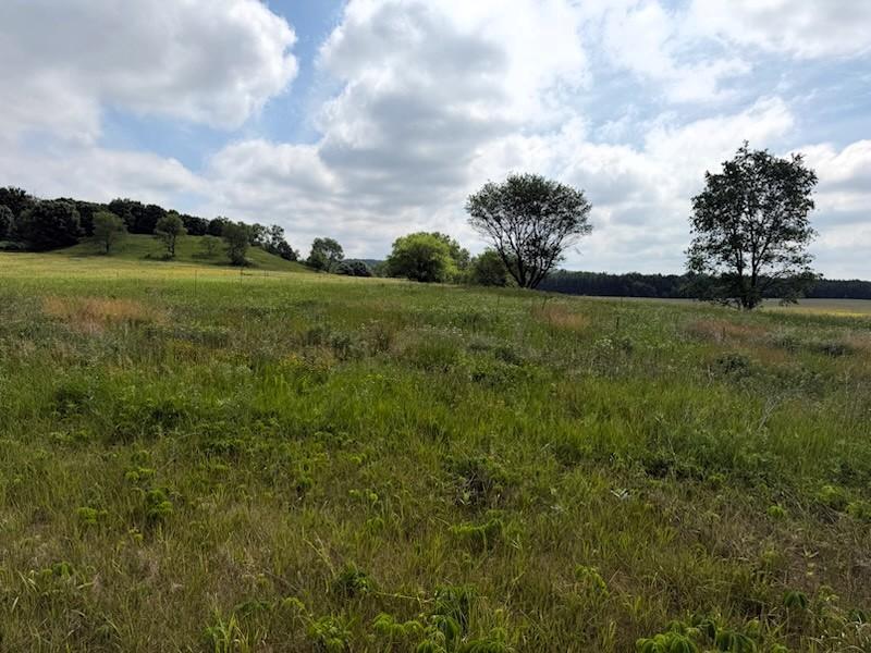 Lot 2 County Rd F, Boyceville, WI 54725