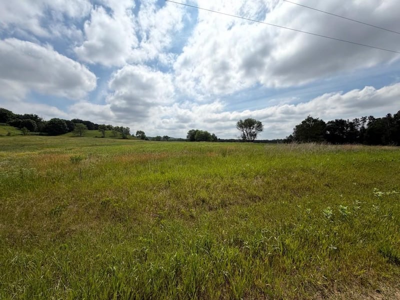 Lot 2 County Rd F, Boyceville, WI 54725