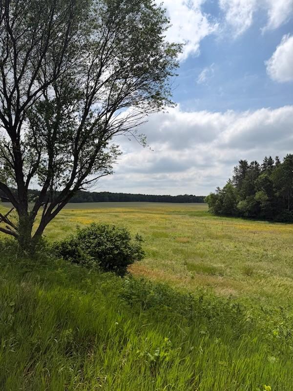 Lot 2 County Rd F, Boyceville, WI 54725