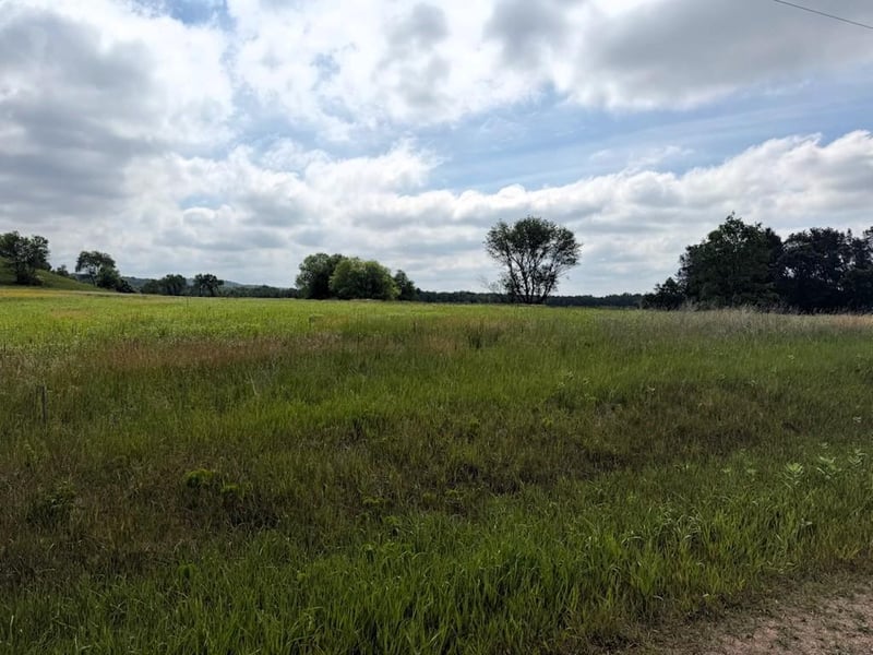 Lot 2 County Rd F, Boyceville, WI 54725