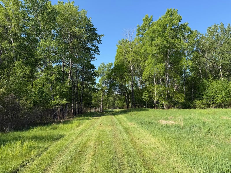 54003 Dollar Lake Rd, Sandstone, MN 55072