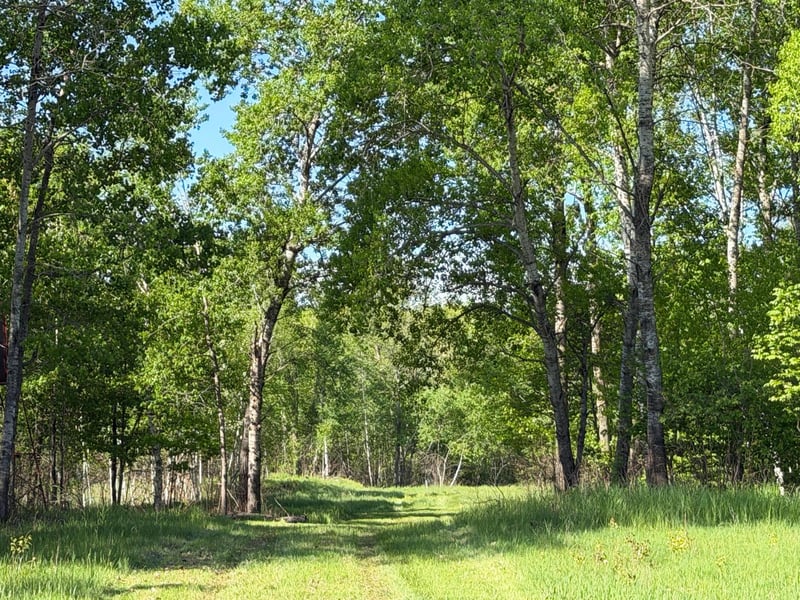 54003 Dollar Lake Rd, Sandstone, MN 55072