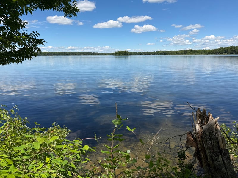 tbd Muskie Bay Rd NE, Longville, MN 56655