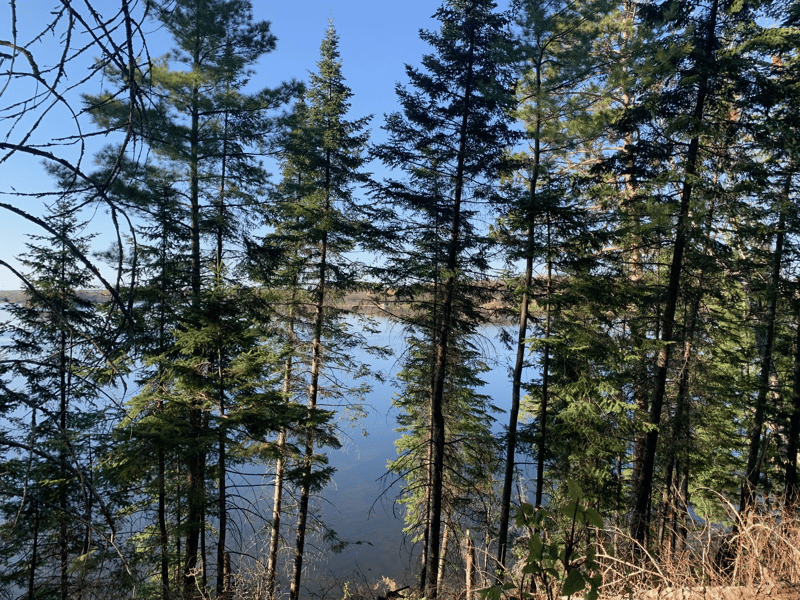 tbd Muskie Bay Rd NE, Longville, MN 56655