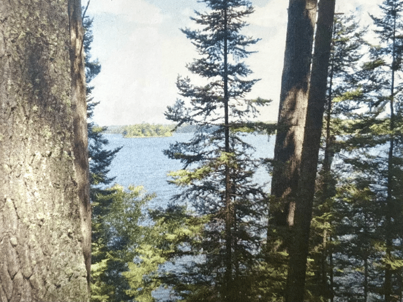 tbd Muskie Bay Rd NE, Longville, MN 56655