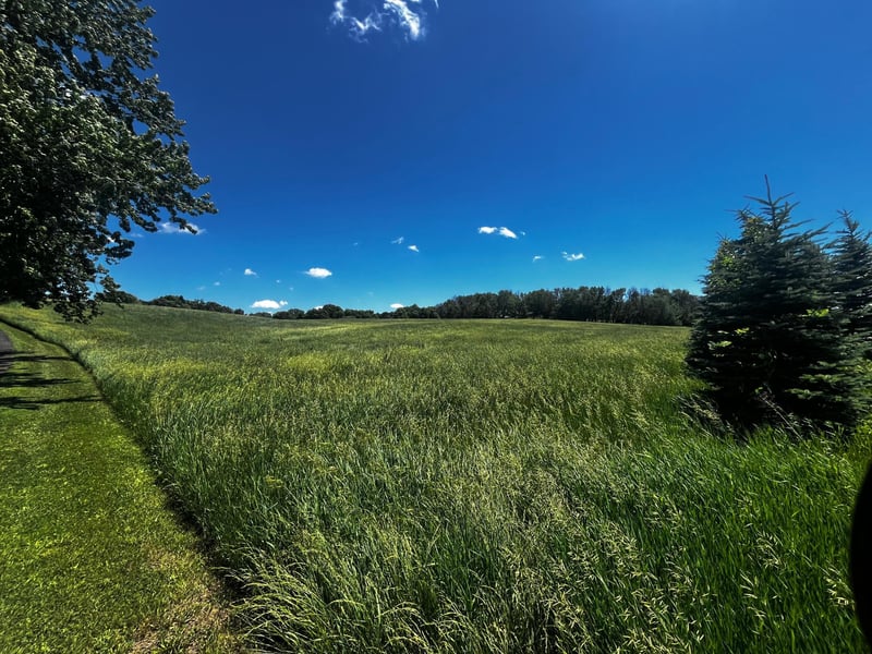 TBD Co Rd 92, Maple Plain, MN 55359