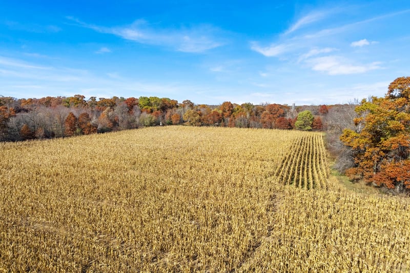 71xxx 165th Ave SE, Becker Twp, MN 55308