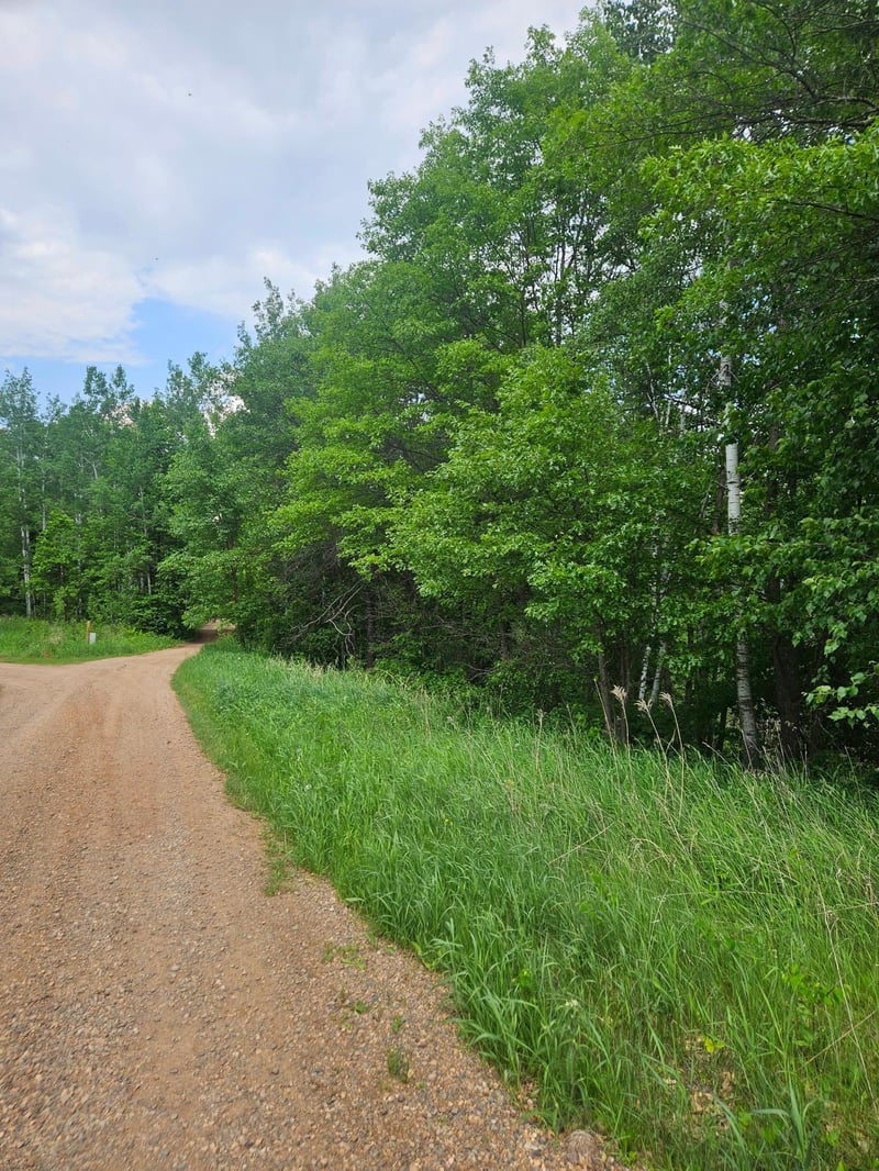 Parcel E Rogue Way, Ironton, MN 56455
