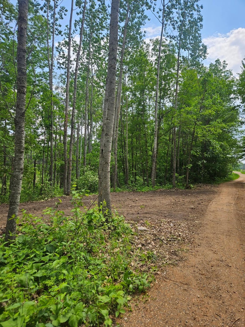 Parcel E Rogue Way, Ironton, MN 56455