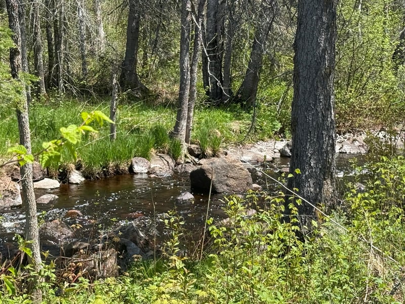 TBD Crown Creek Spur Rd, Finland, MN 55603