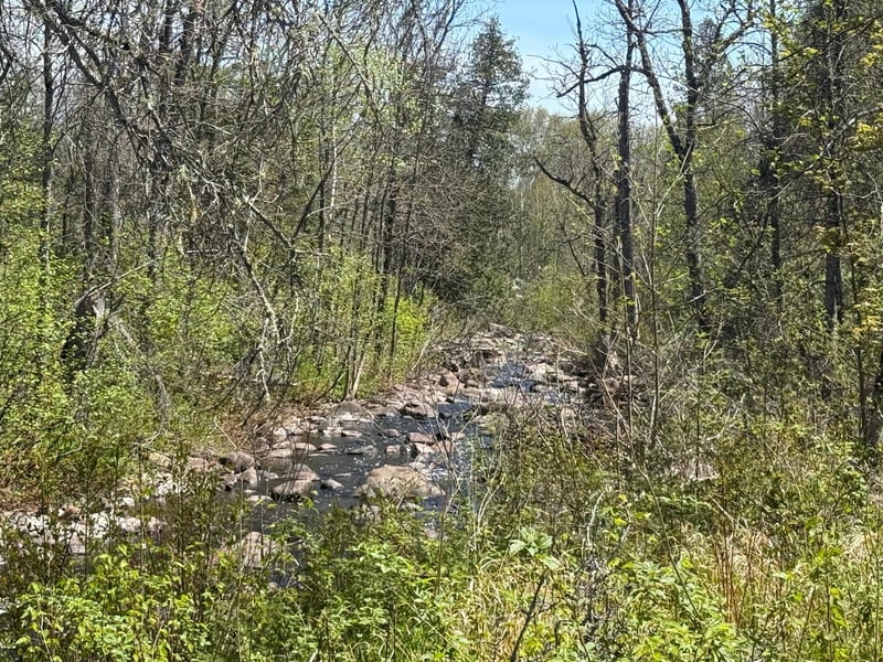 TBD Crown Creek Spur Rd, Finland, MN 55603