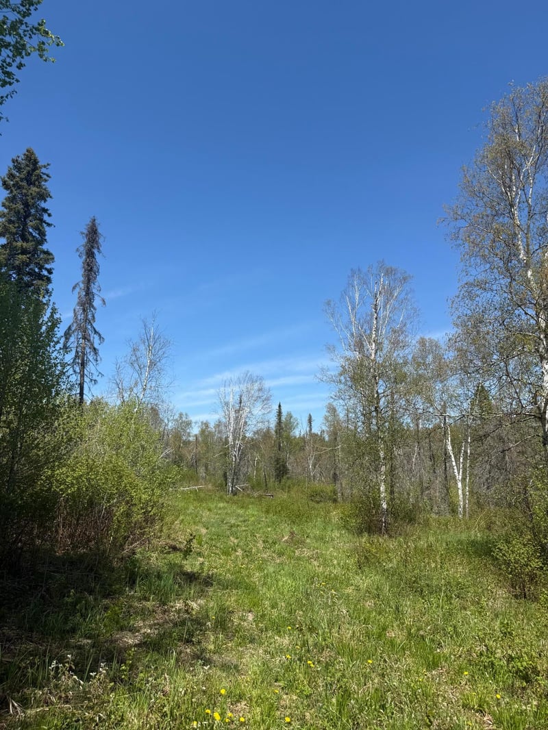 TBD Crown Creek Spur Rd, Finland, MN 55603