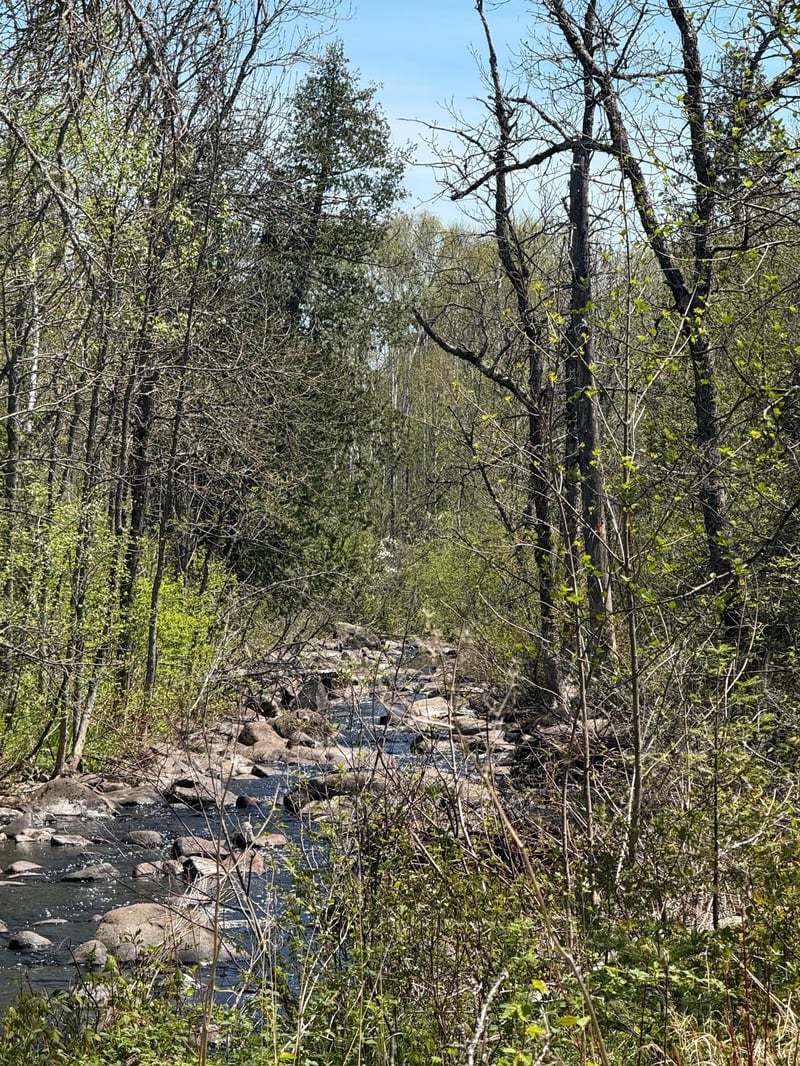 TBD Crown Creek Spur Rd, Finland, MN 55603