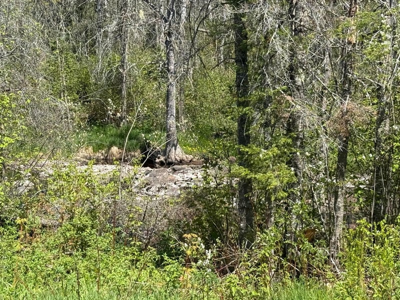 TBD Crown Creek Spur Rd, Finland, MN 55603