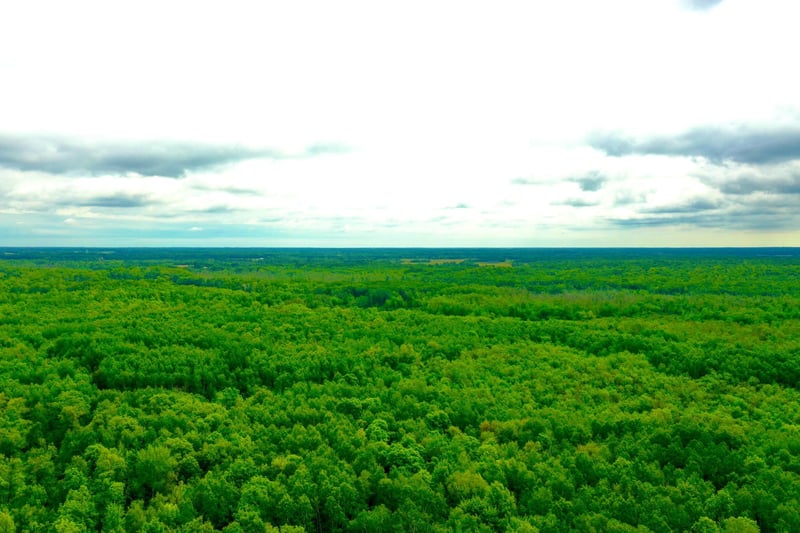 10551 Mallard Rd, Brook Park, MN 55007