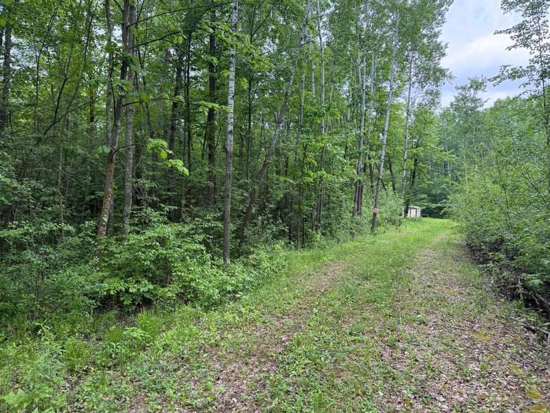 10551 Mallard Rd, Brook Park, MN 55007
