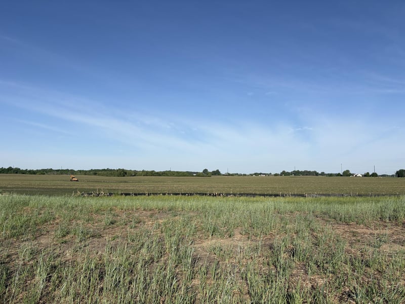 460 Ramey Rd, Maple Lake, MN 55358