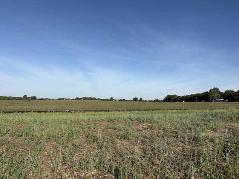460 Ramey Rd, Maple Lake, MN 55358
