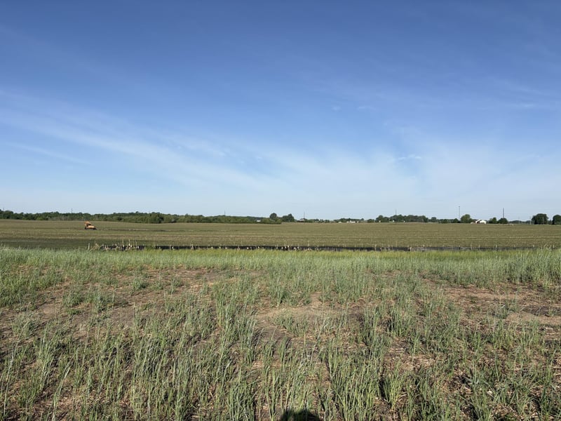 460 Ramey Rd, Maple Lake, MN 55358