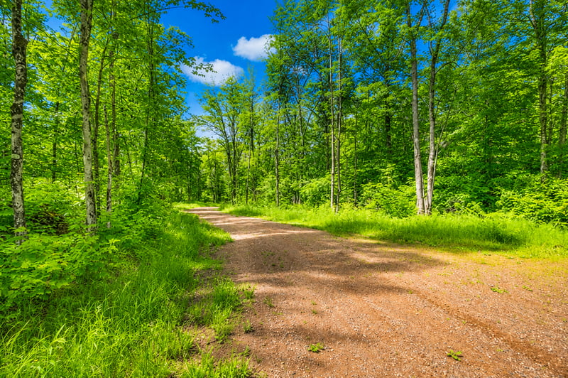 Lot 4 Csm 28/186, Radisson, WI 54867