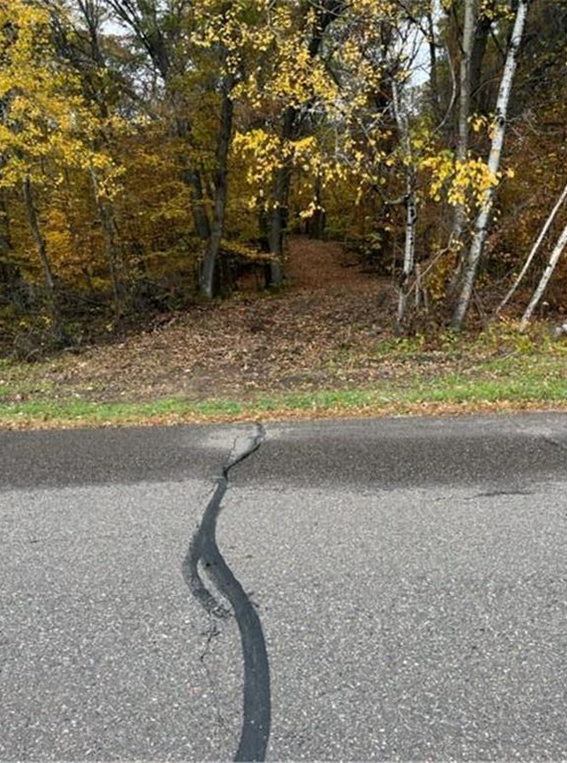 Lot 4 Tiger St NW, Princeton, MN 55371