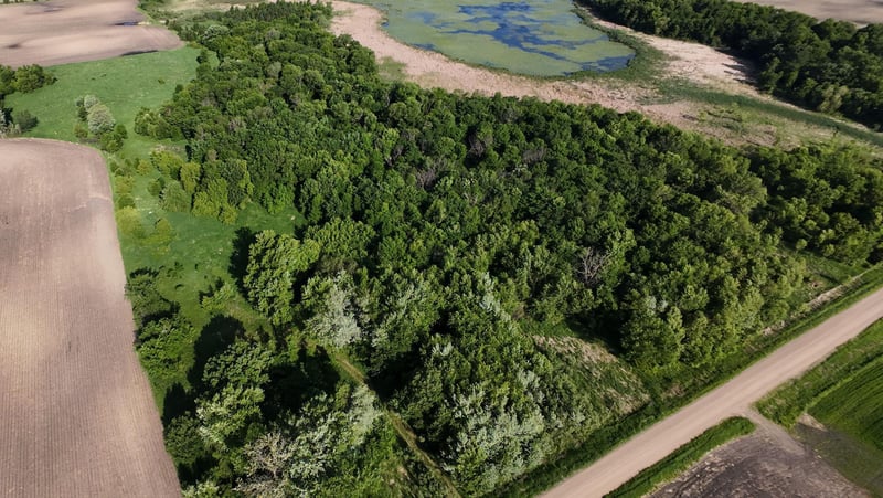21810 Gonvick Ave, Morristown, MN 55052