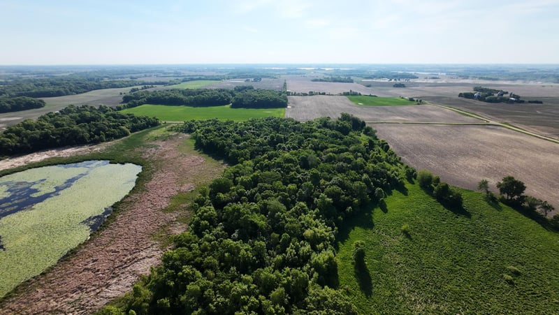 TBD Gonvick Ave, Morristown, MN 55052