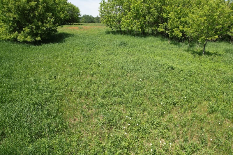 Lot 1 11th St, Clayton, WI 54004