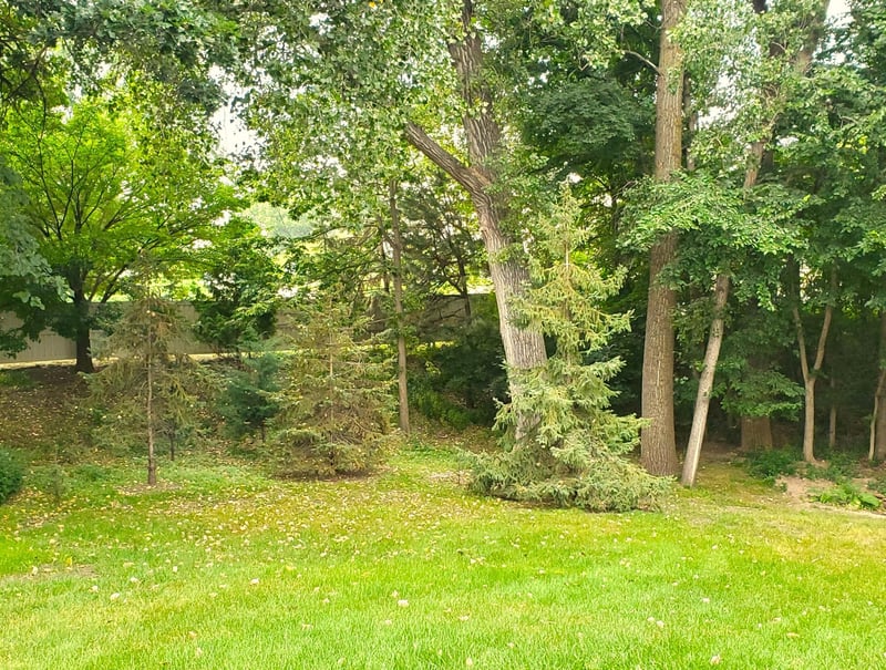 4504 Laramie Trl, Minnetonka, MN 55345