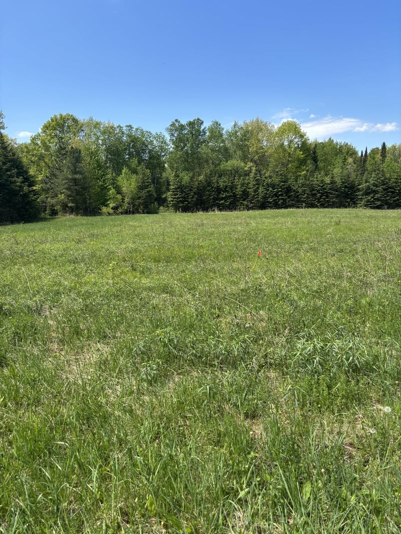 N3860 Kostka Rd, Ladysmith, WI 54848