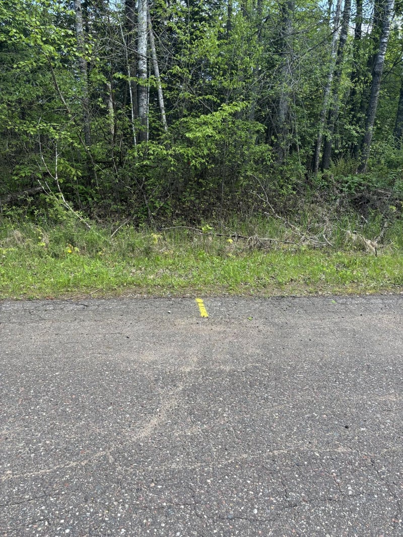 N3860 Kostka Rd, Ladysmith, WI 54848