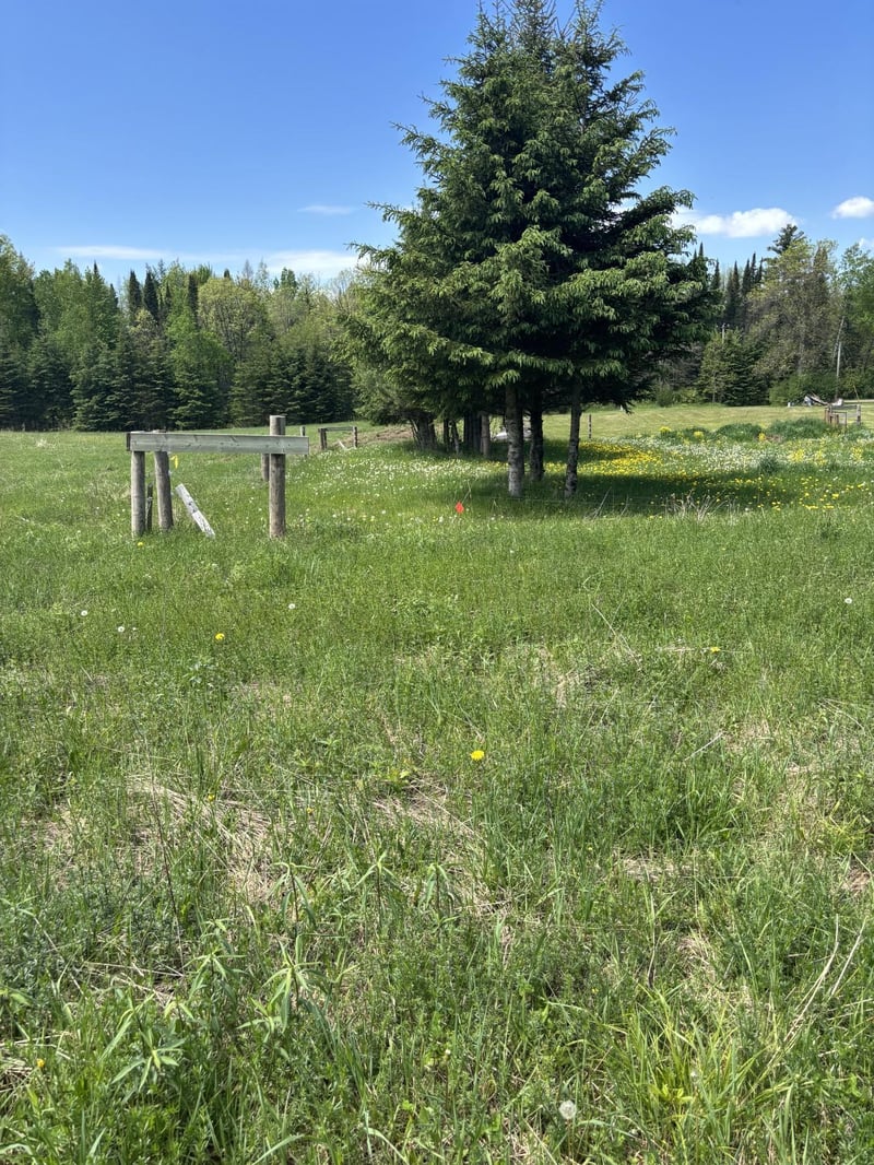 N3860 Kostka Rd, Ladysmith, WI 54848