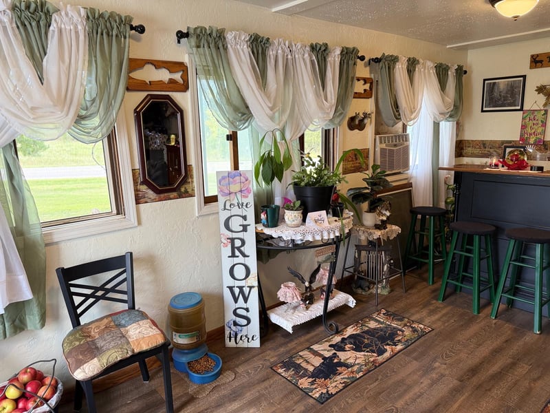 13658 County Road 100, Wadena, MN 56482