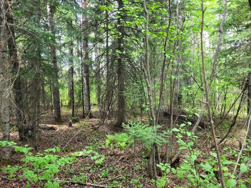 68232 County Road 547, Cook, MN 55723