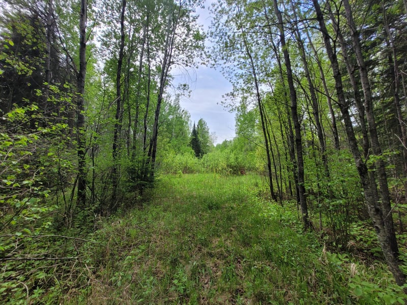 68232 County Road 547, Cook, MN 55723