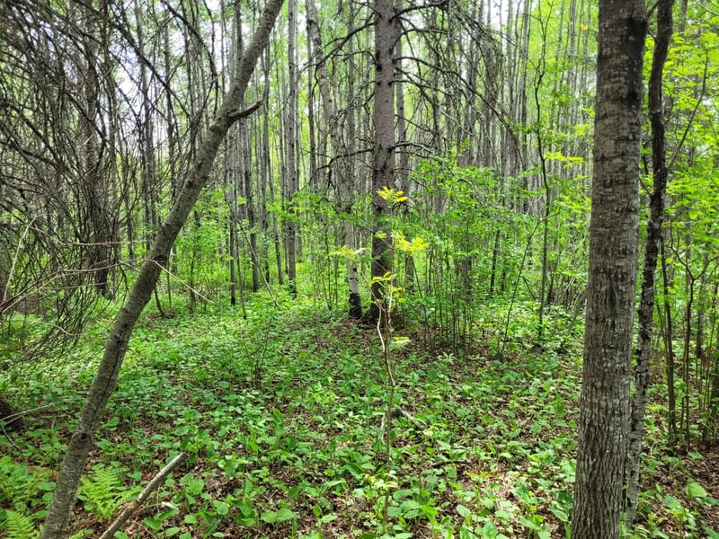 68232 County Road 547, Cook, MN 55723