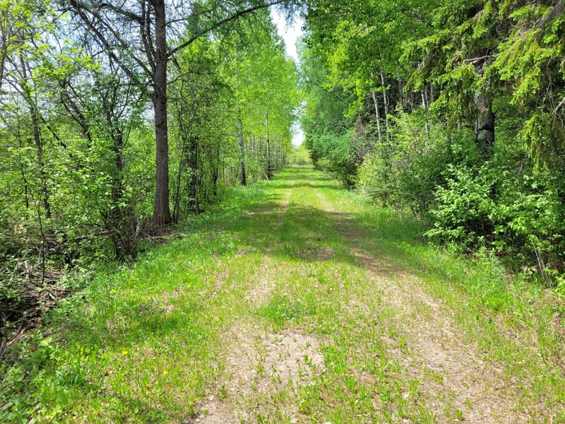 68401 County Road 547, Cook, MN 55723