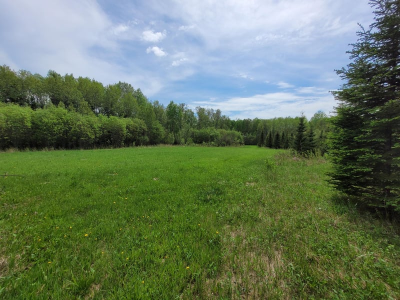68401 County Road 547, Cook, MN 55723