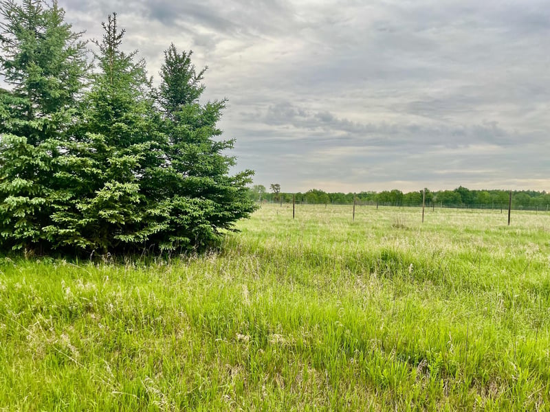 1234 Cr 51, Bovey, MN 55709