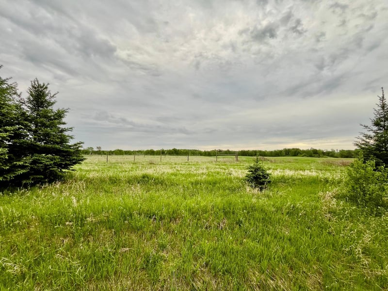 1234 Cr 51, Bovey, MN 55709