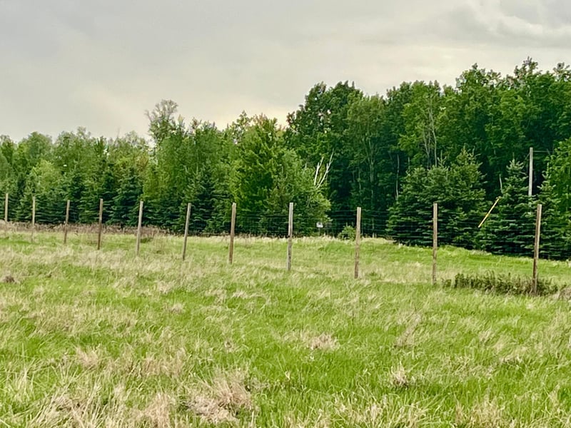 1234 Cr 51, Bovey, MN 55709