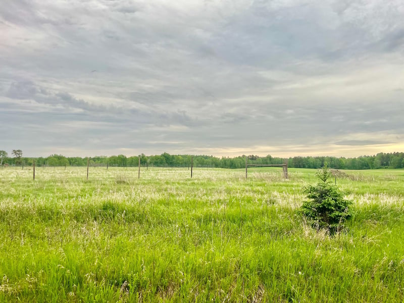 1234 Cr 51, Bovey, MN 55709
