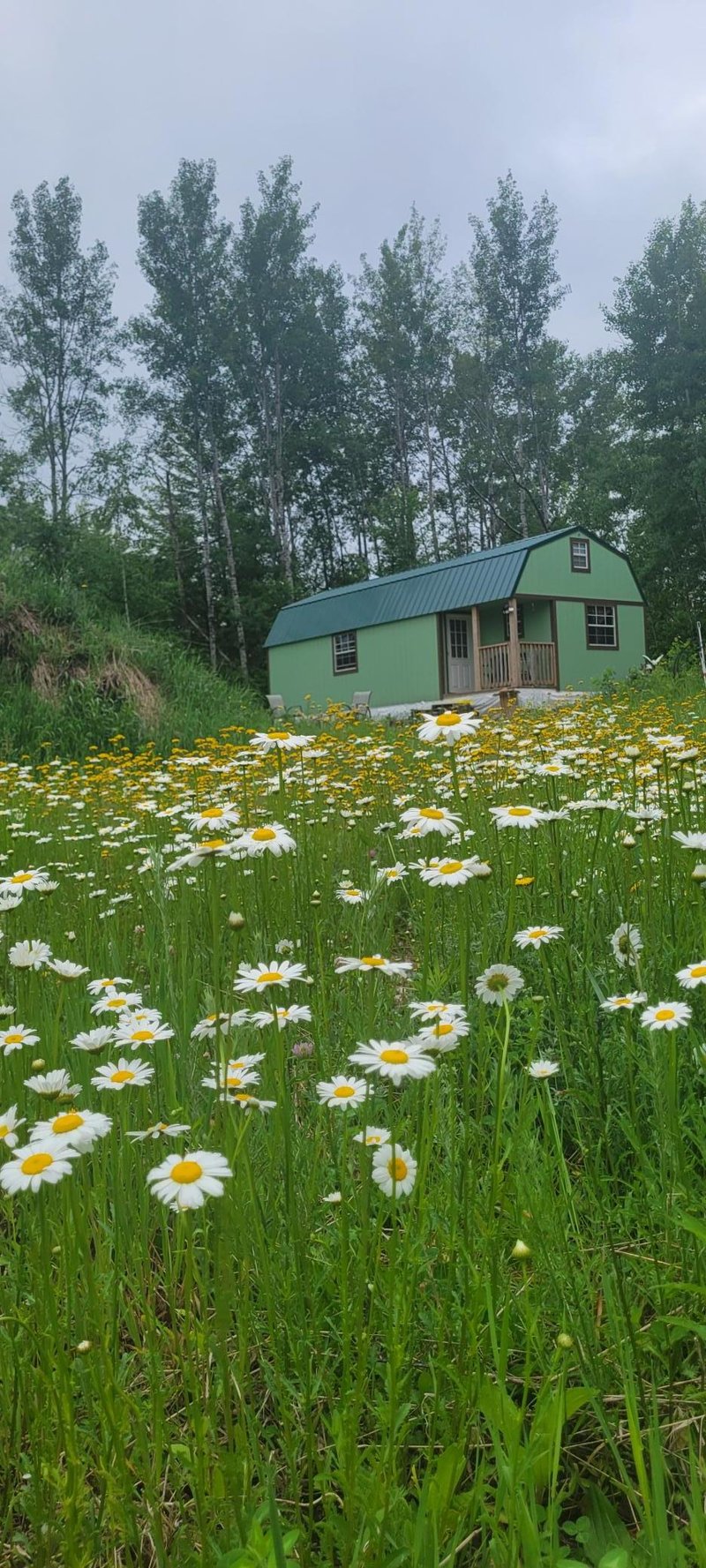 11116 N Blackberry Rd, Trego, WI 54888