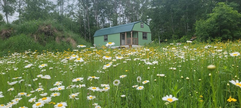 11116 N Blackberry Rd, Trego, WI 54888