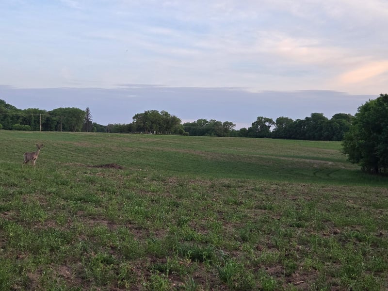 TBD Parcel B County Rd 5 NW, Princeton, MN 55371