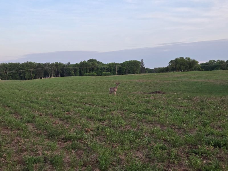 TBD Parcel A County Rd 5 NW, Princeton, MN 55371