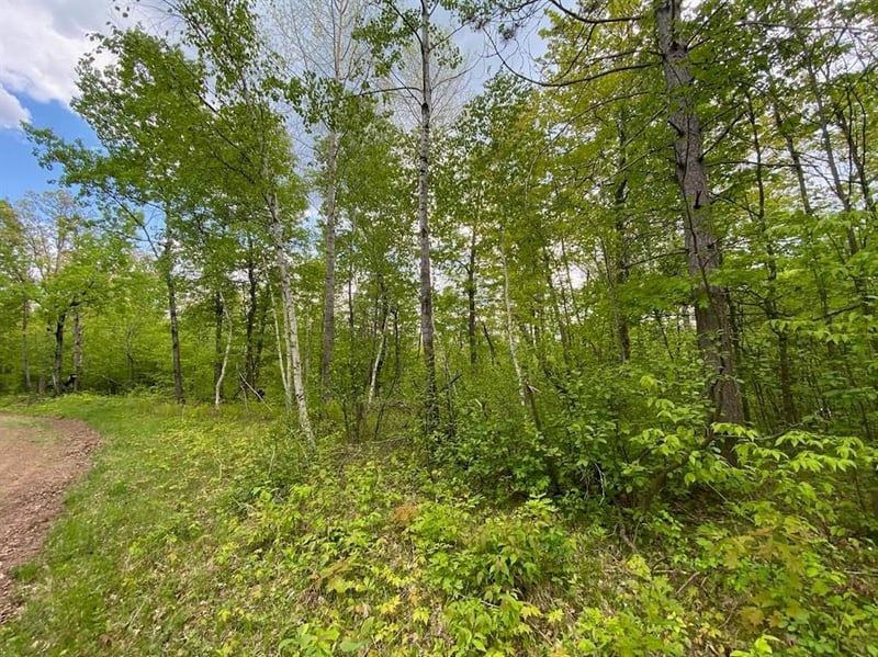 Lot 9 Hustvet, Minong, WI 54888