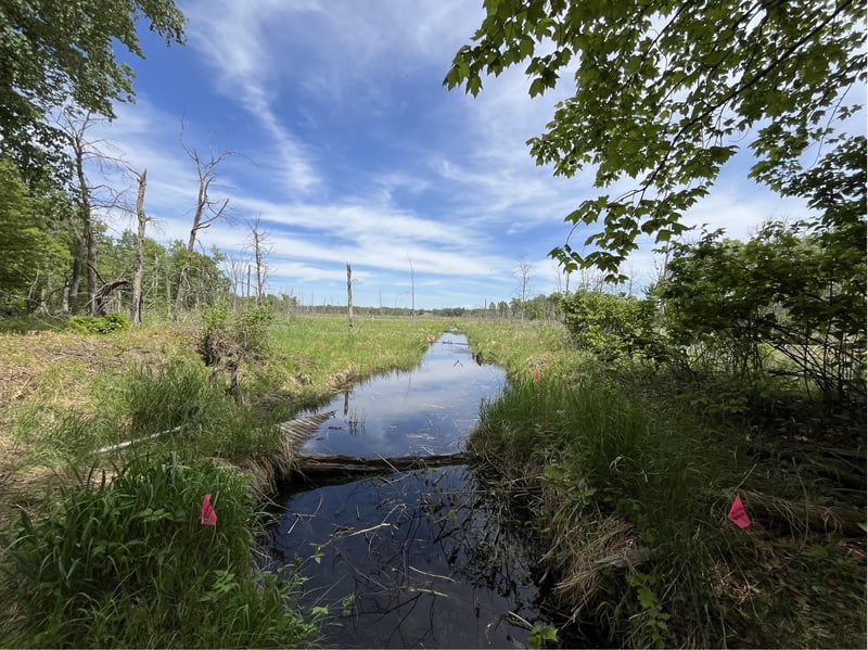 13384 Sorenson Lake Rd, Merrifield, MN 56465