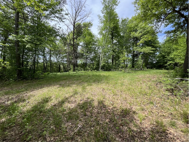 13384 Sorenson Lake Rd, Merrifield, MN 56465